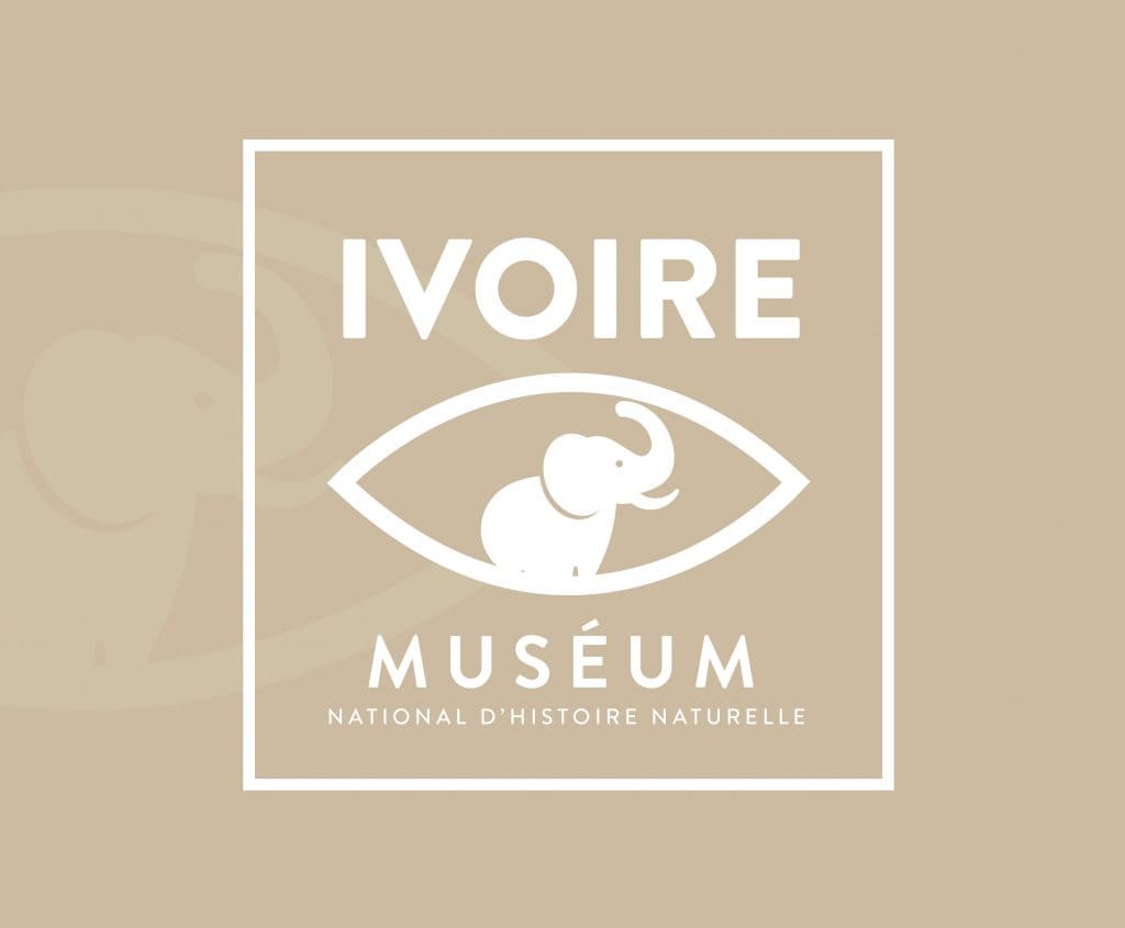 Logo Ivoire Museum